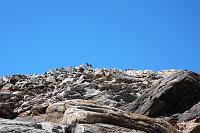 2008-08-02-11.13.25 Ofenhorn 